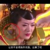 12生肖图片大全